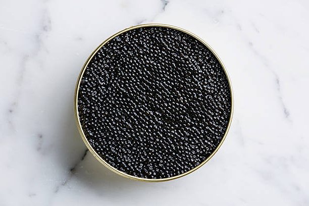 Sturgeon black caviar in can on white marble background